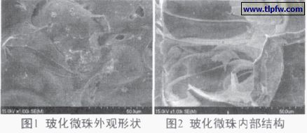 ?；⒅橥庥^形狀及內(nèi)部結(jié)構(gòu)